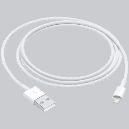Apple Lightning to USB Cable 1m